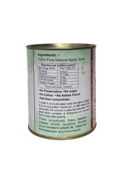 Natural Apple Juice - Valley Agro Foods