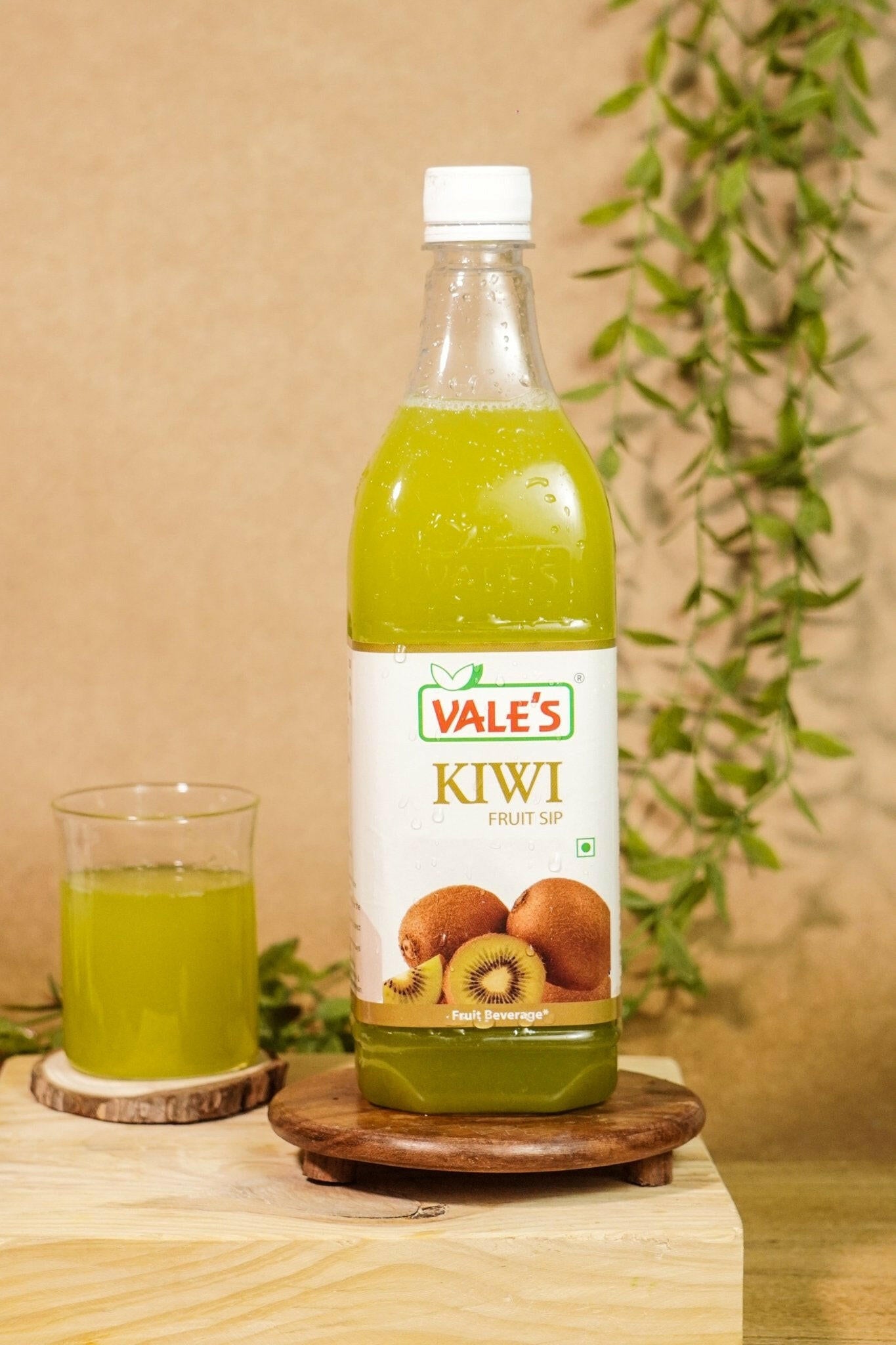 Kiwi Fruit Sip - Valley Agro Foods